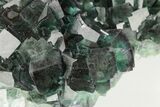 Green Cubic Fluorite Cluster With Purple Edges - Okorusu Mine #191986-2